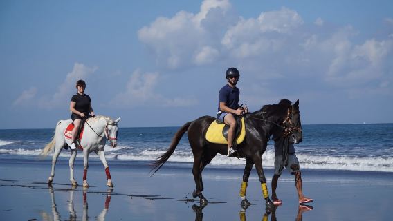 Bali: Pengalaman Berkuda di Pantai dengan Antar-Jemput Gratis
