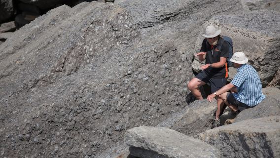Hobart: Aktive Ganztagestour im Maria-Island-Nationalpark