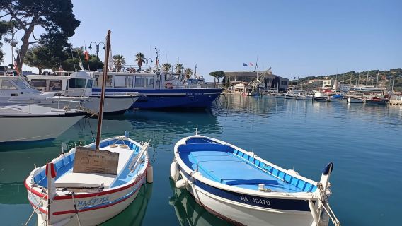 Dari Marseille: Aix-en-Provence dan Cassis Shore Excursion