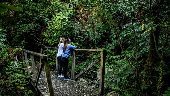 Lake Taupo Explorer Sightseeing-Kreuzfahrt mit saisonalem Schwimmen