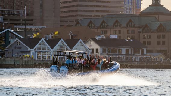 ฮาลิแฟกซ์: ทัวร์เรือชมท่าเรือ 50 นาที