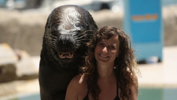 Combinazione Ocean World Dolphin Swim & Sea Lion da Puerto Plata