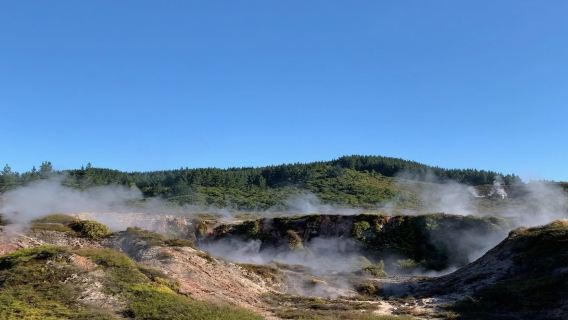 紐西蘭陶波｜旅遊陪同翻譯｜展會｜商務考察洽談｜自由行地接｜接機（可私人訂製）