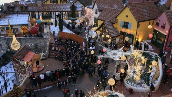 서울: 남이섬, 가든, 쁘띠프랑스(선택: 레일바이크)