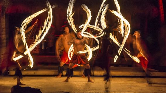 Fish Eye Island - Chương Trình Biểu Diễn Văn Hóa Kèm Bữa Tối