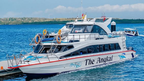 Schnelle Schiffsfahrkarte zwischen Sanur, Nusa Penida, Padangbai und Gili oder Nusa Lembongan