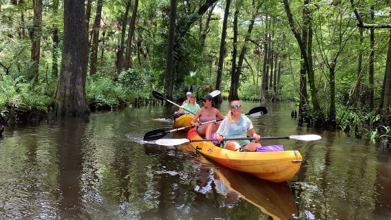 Jupiter: Wilde und malerische Kajaktour auf dem Loxahatchee River