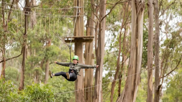 Excursión de un día a Torquay, la capital del surf, y al parque de tirolinas Livewire