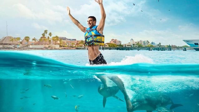 Dolphin Royal Connection on Isla Mujeres