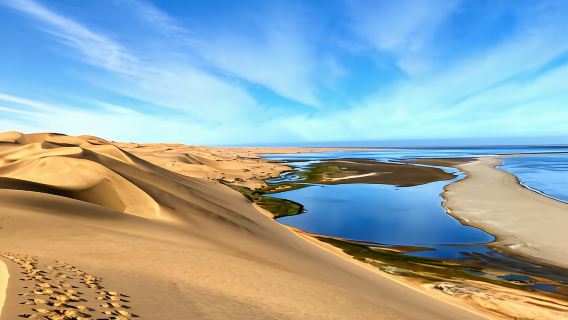 Sandwich Harbour 4x4 guided tours(Includes Cruise ship pick up)