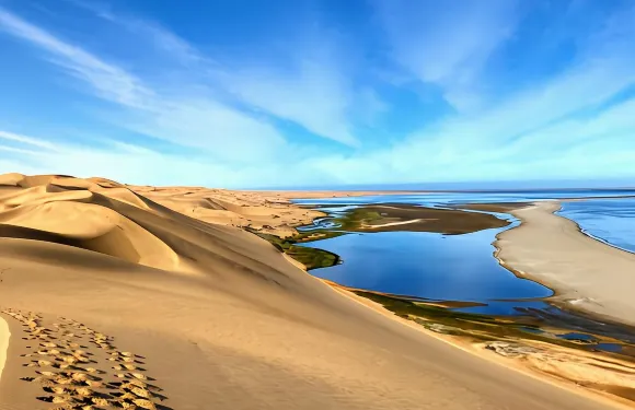 三明治港四驅車導賞團（包含郵輪接送服務）