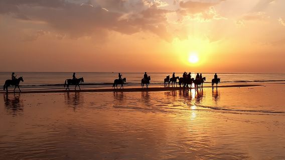 Stunning Sundown Beach Ride on horseback! MINIMUM 2 PARTICIPANTS