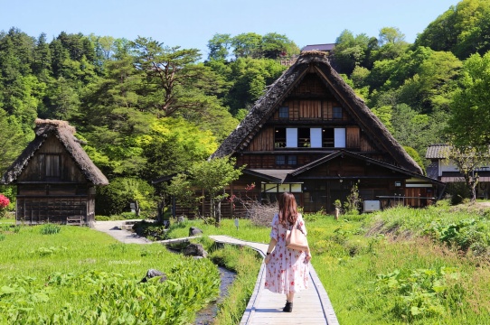 日本名古屋白川鄉+飛驒高山+《你的名字》純玩一日遊