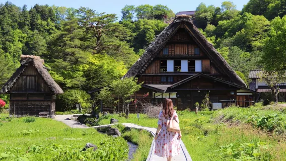 2 opciones de recogida en tierra | Aldeas históricas de Shirakawa-go y Gokayama + Takayama Hida + excursión de un día sin compras
