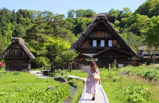 日本名古屋白川鄉+飛驒高山+《你的名字》純玩一日遊