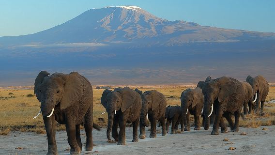 Escursione di un giorno al Parco Nazionale di Amboseli