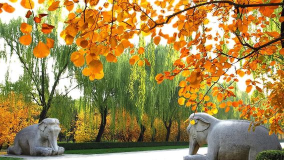 Gita privata di un giorno a Pechino: Grande Muraglia di Mutianyu e Tombe Ming