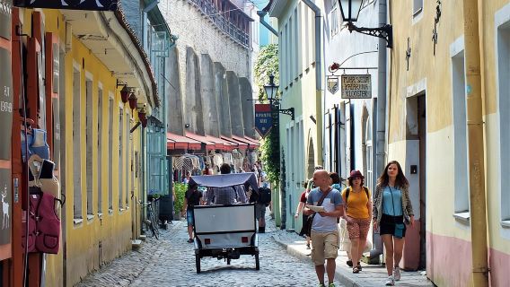 Private Shore Excursion: Tallinn Old Town Walking Tour with Round-Trip Transfer