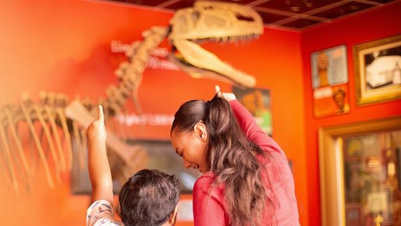 Ripley's Believe It or Not! Niagara Falls: Entry Ticket