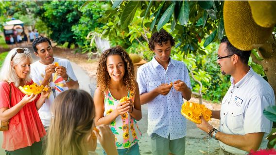 جولة نصف يومية في حديقة الفواكه الاستوائية Tropical Fruit World