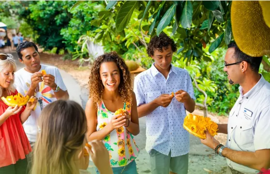 黃金海岸拜倫灣燈塔+熱帶水果世界一日遊【含門票 中文司導】