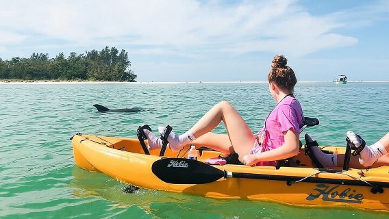 Excursión en kayak a pedales Easy Ride a Marco Island y Naples (Pedalea o rema)