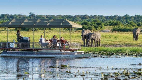 Full Day Private Tour in Chobe