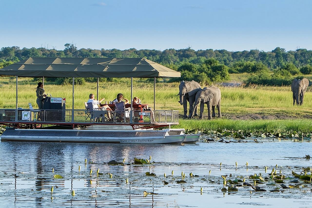 Full Day Private Tour in Chobe