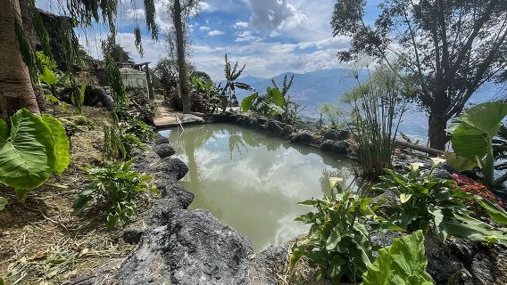 Tour del caffè e spa di Medellin