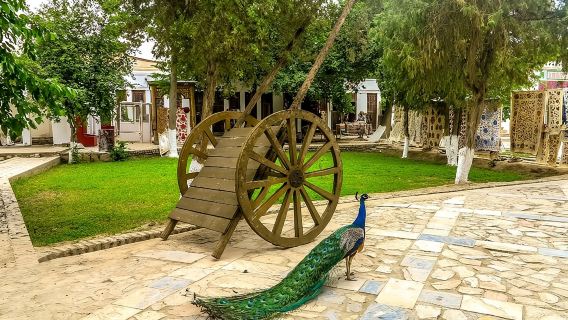 Bukhara Countryside Tour with a Traditional Lunch Experience