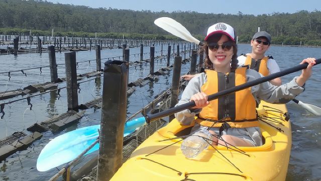 Batemans Bay Oyster Tasting Kayak Tour