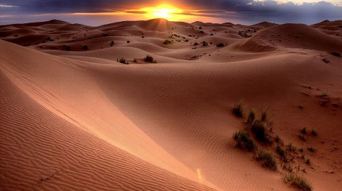 1-Hour Dune Buggy Self-Drive, Camel Ride & Sandboarding Adventure 6