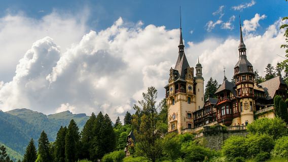 Peles Royal Castle & Wine Tasting Tour