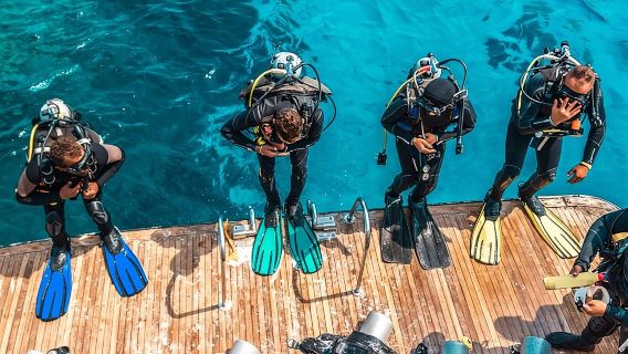 Snorkeling and Diving to Ras Mohamed And White Island by VIP Boat