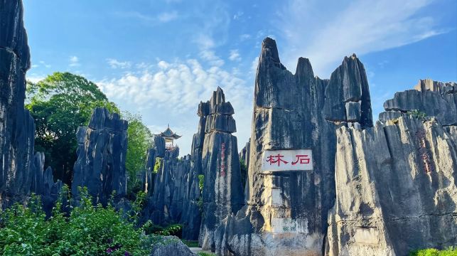 石林風景區+雲南省博物館包車一日遊：含門票+省博2小時講解