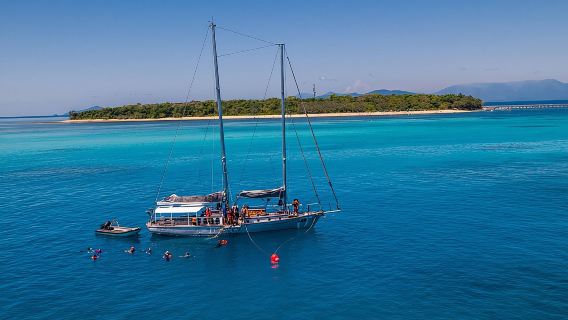 Ocean Free: Small Group Great Barrier Reef & Green Island Tour
