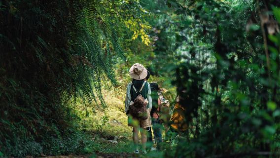 高黎貢山國家級自然保護區5公里輕徒步一日遊(山野廚房+草甸+野溫泉+竹筏)