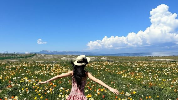 Xinjiang Sayram Lake Day Tour: Experience the Stunning Alpine Lake