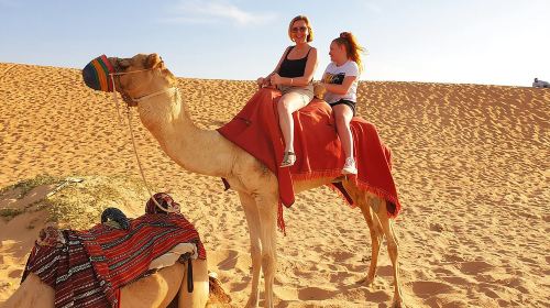 Dubai Quad Bike Safari: 4x4 Red Dune Bashing & BBQ Thrill Day Tours 2