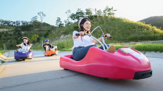 韓國 仁川 江華島LUGE斜坡滑車一日遊