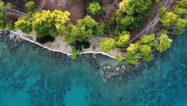 Guided Speedboat Tour with Food, Oil & Wine Tasting