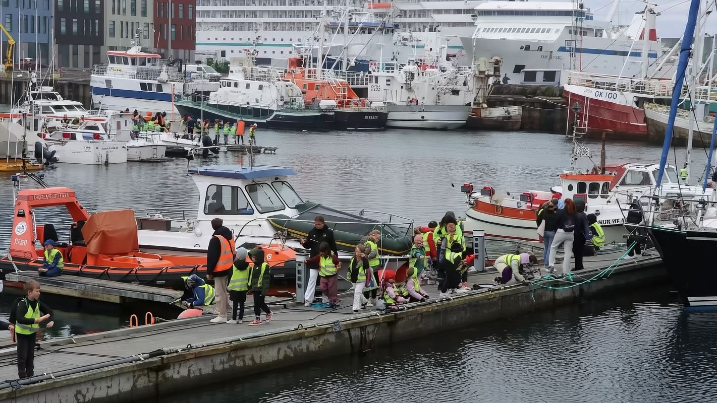 極地維京村+珍珠樓+火山熔岩區公園+觀鯨10小時包車行