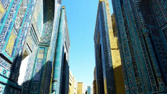 From Tashkent: Samarkand Day Trip by Fast Train with Lunch