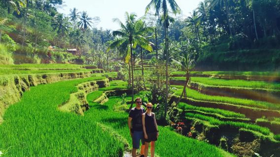 Bali: Leke-Leke-Wasserfall, Affenwald & Dschungelschaukel-Tour