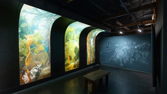 Húsavík: Tiket Masuk Muzium Paus