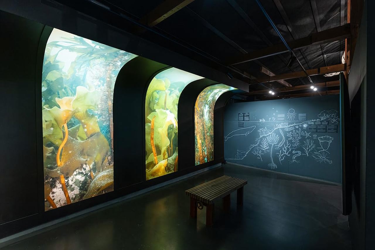 Húsavík: Whale Museum Entry Ticket