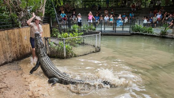 Entrada al parque Hartley's Crocodile Adventures