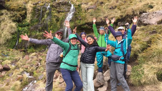 Caminata guiada grupal de medio día por los Alpes Tongariro
