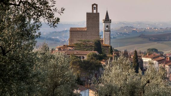 Vinci: biglietto d'ingresso d'ingresso al Museo Leonardiano di Vinci