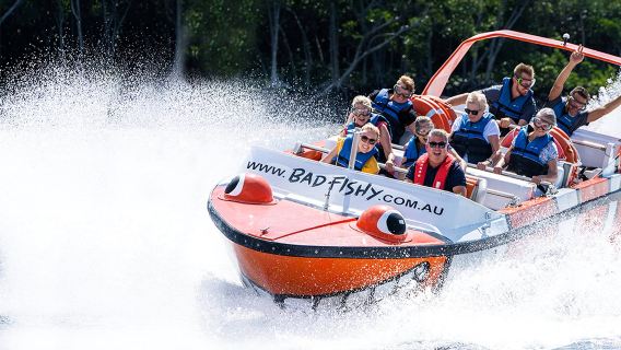 Bad Fishy Clownfish Harbor Speed ​​Boat Experience in Cairns Harbor, Australia